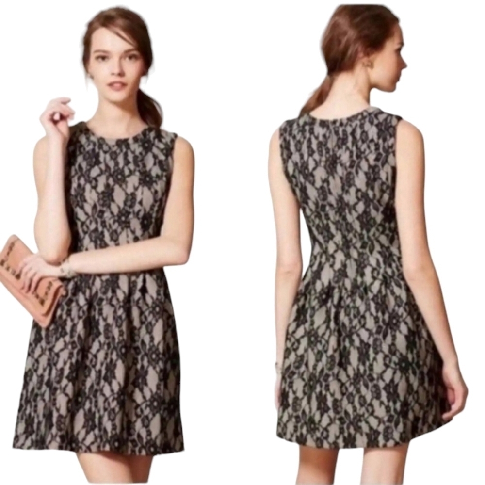 Anthropologie HD In Paris Dress Medium Black Violante Lace Fit & Flare Mini NEW